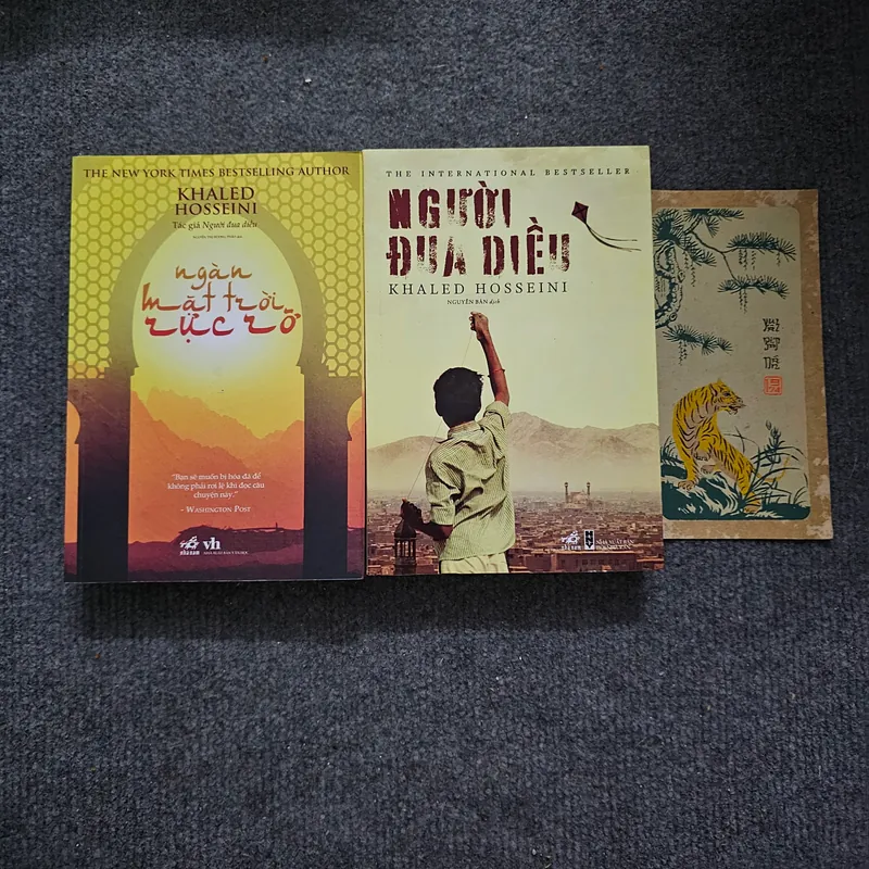 Người đua diều, Ngàn mặt trời rực rỡ 733908