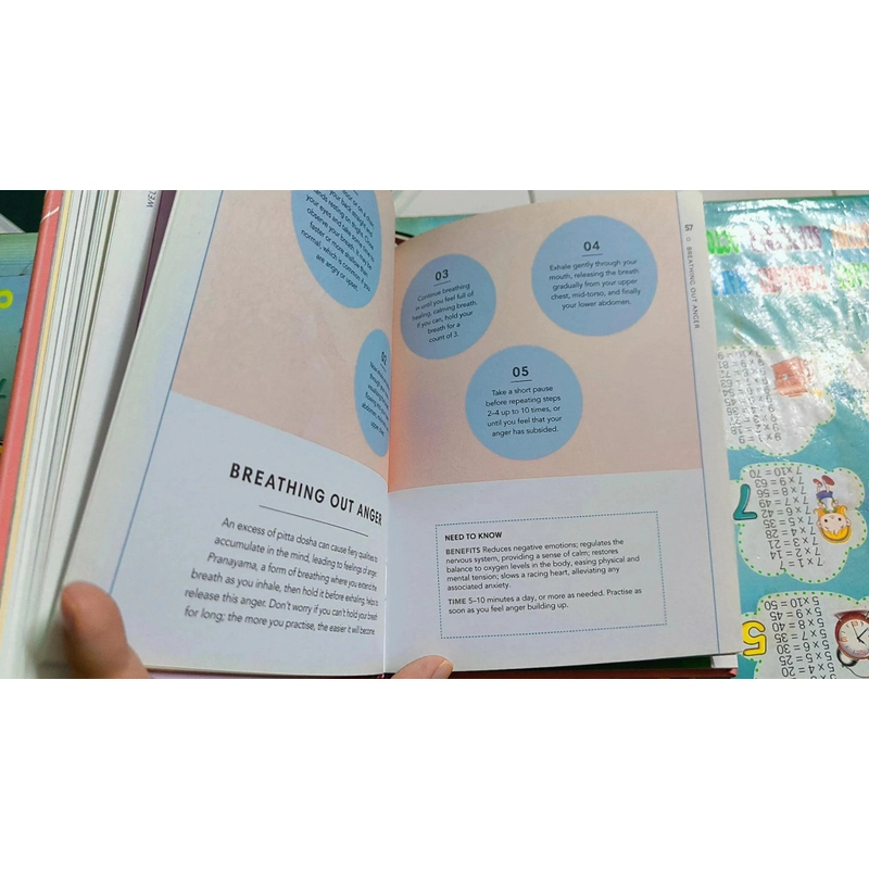 Sách ngoại văn chữa lành, chăm sóc bản thân AYURVEDA: A little book of self-care 478934