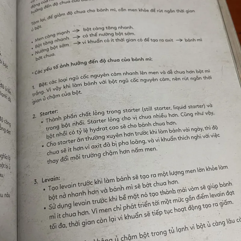 Bánh mì lang thang Hương Thảo 972273