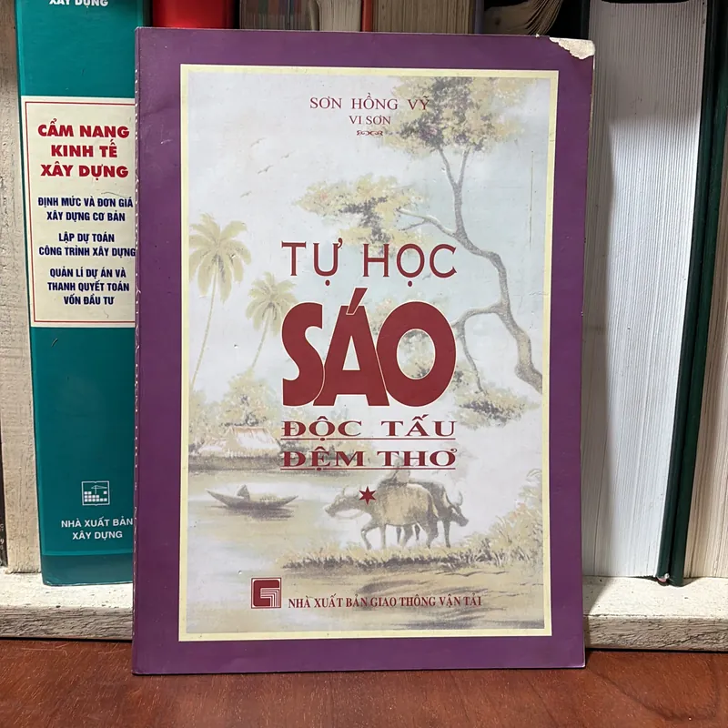 II Nhạc Cụ, Âm Nhạc: Tự Học Sáo _ Độc Tấu Đệm Thở (Tập 1) - Sơn Hồng Vỹ (Vi Sơn) - 2004 727051