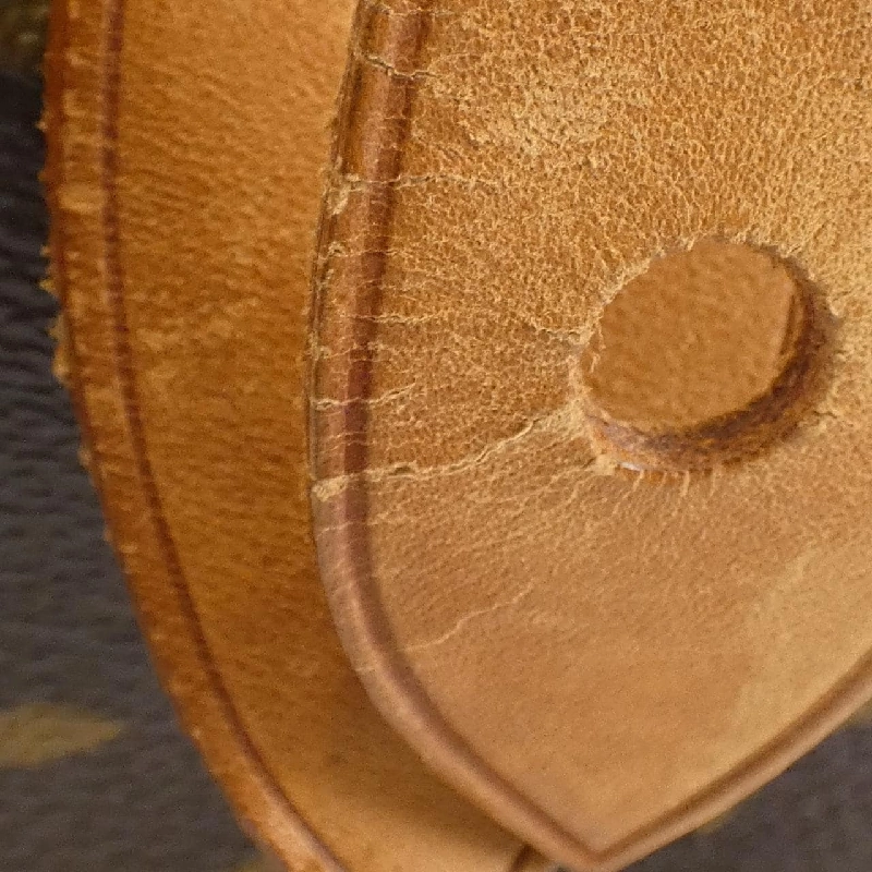 Túi xách Boston Louis Vuitton Monogram Speedy 30cm M41526 614231