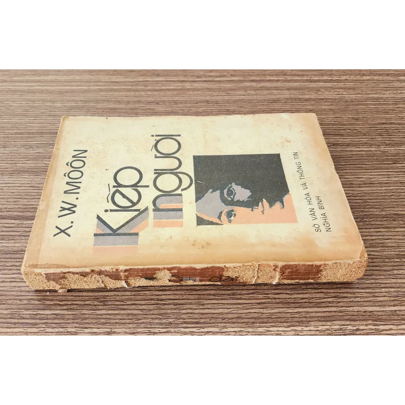 Nhà văn Anh William Somerset Maugham & tiểu thuyết KIẾP NGƯỜI (372 trang) 705065