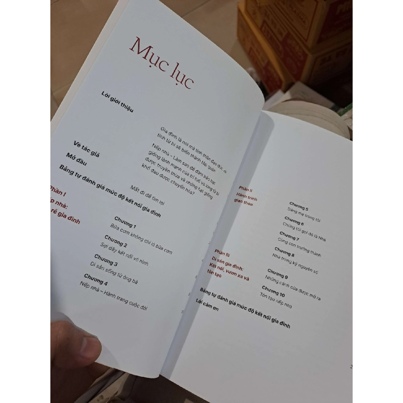 Nếp Nhà - Từ Gốc Rễ Đến Ngọn Gió - Nguyễn Hồng Phương - 2025 mới 90% - VĂN HỌC - HMT3012 749972