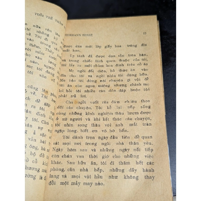 Tuổi trẻ thần tiên - Hermann Hesse ( bản dịch của Bùi Quang Đông ) 740232