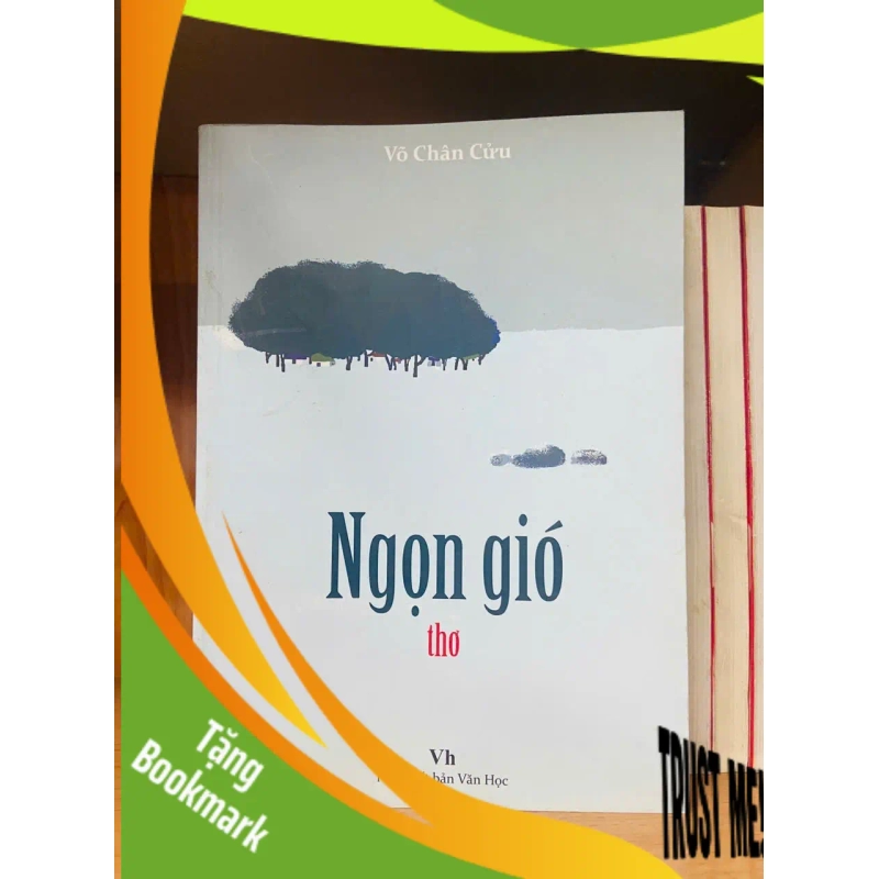 (TẶNG BOOKMARK) Ngọn gió - Võ Chân Cửu - VĂN HỌC - RBK1211 948805