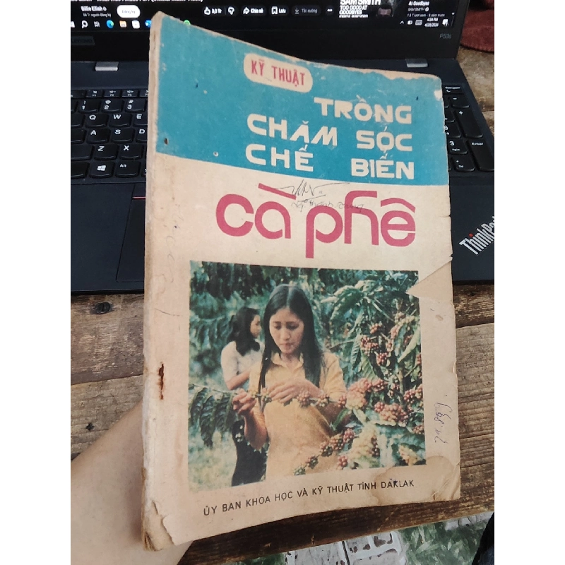 Kỹ thuật: Trồng - Chăm sóc - Chế biến Cà phê 1032840