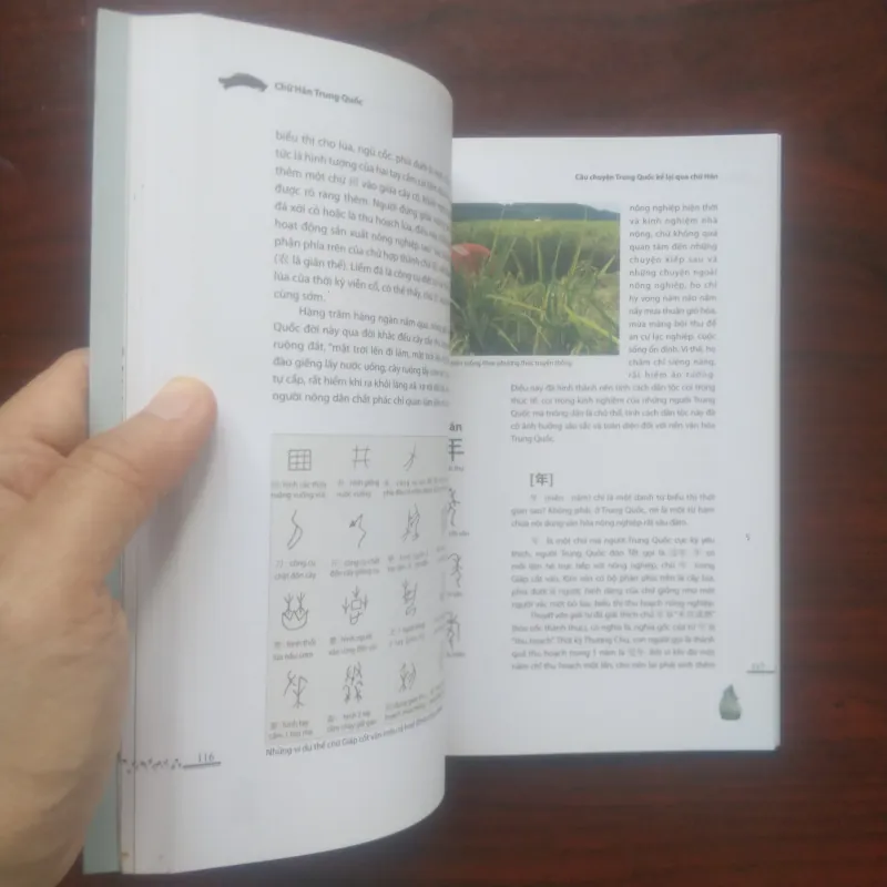 [Sách Văn Hóa] Chữ Hán Trung Quốc (Hán Giám Đường) Full Color 937000