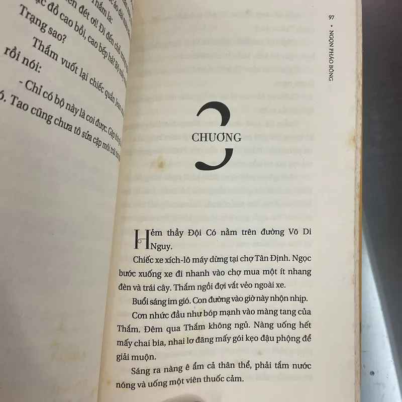[TRUYỆN DÀI] Ngọn pháo bông - Nguyễn Thị Thuỵ Vũ 712272