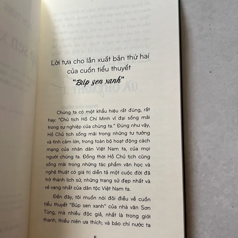 Búp sen xanh - Sơn Tùng 590021