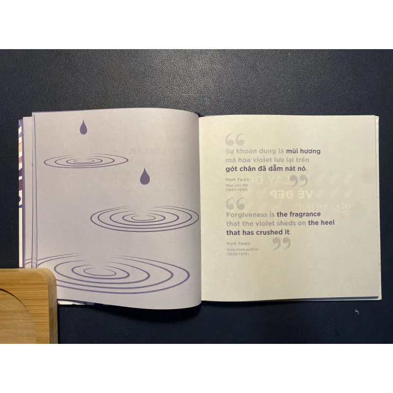 Sự tha thứ- Dani DiPirro 1031503