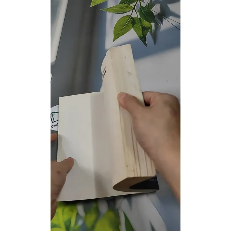 Giáo Trình Luật Ngân Hàng Việt Nam 727229