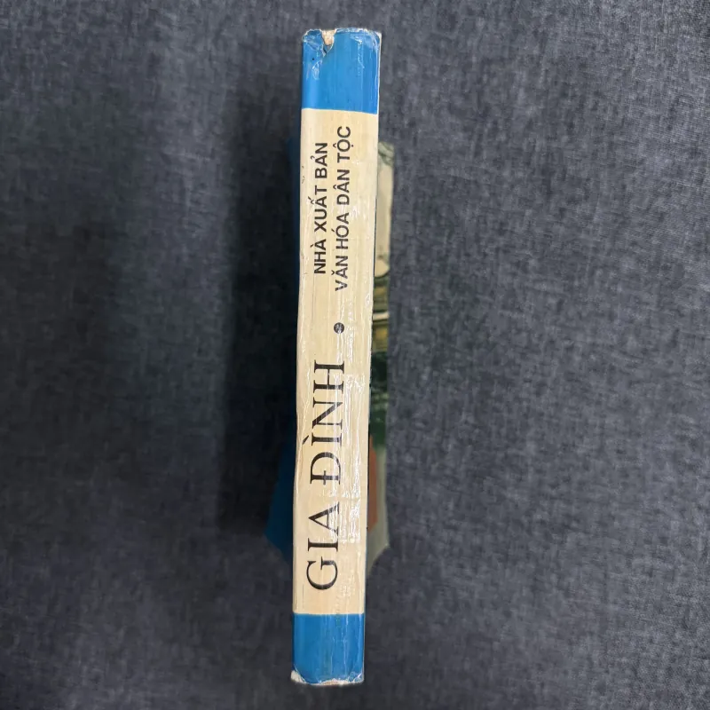 Gia đình - Shimazaki Toson 785210