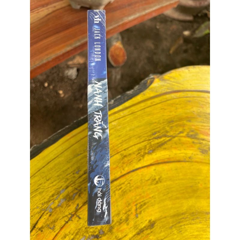 NANH TRẮNG- Jack London 475663