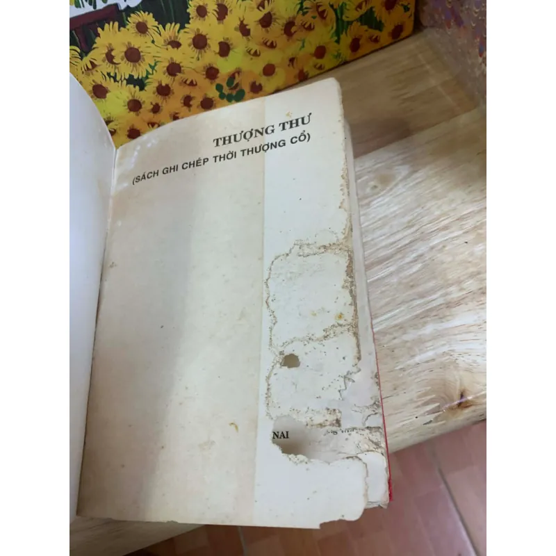 Thượng Thư (Sách Ghi Chép Thời Thương Cổ) 926377