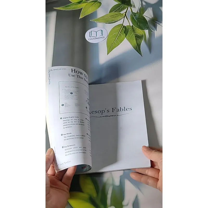 Những Câu Chuyện Ngụ Ngôn Aesop Nổi Tiếng - Aesop 607698