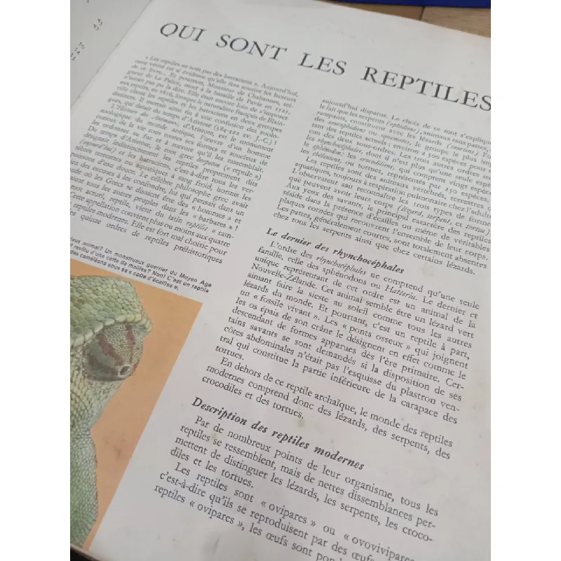 Les reptiles - Albert Jeannin 557386