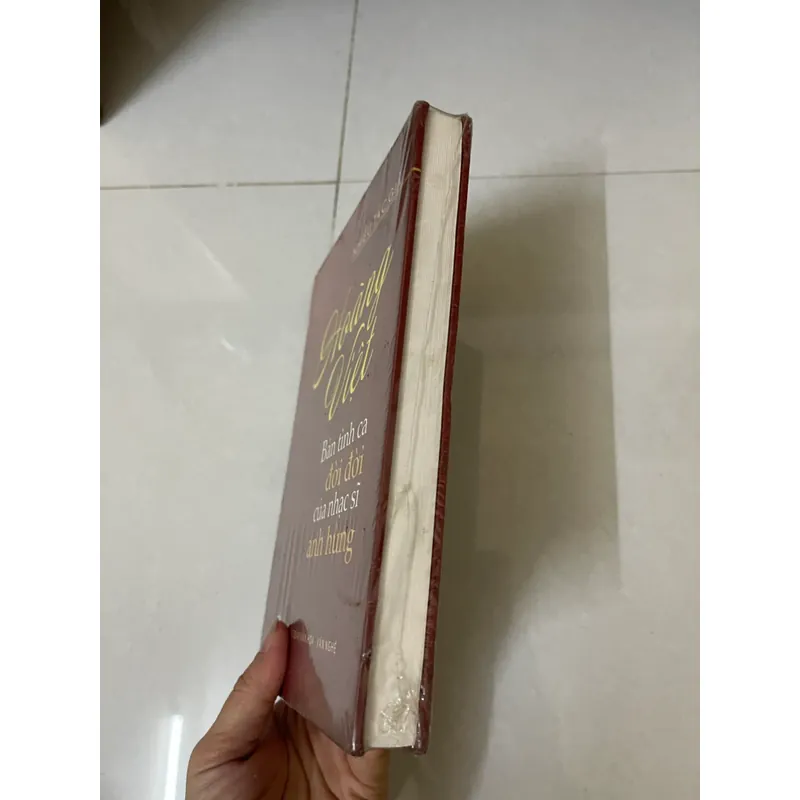 Hoàng việt Bản tình ca đời đời  của nhạc sĩ Anh Hùng 570093