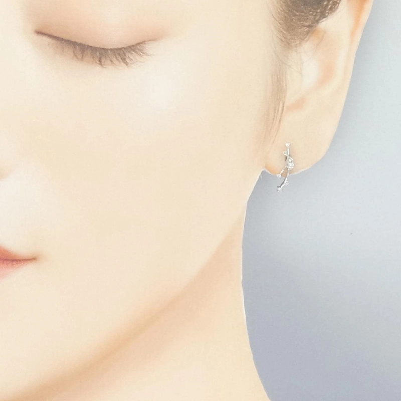 Bông tai kim cương Stargewelry 0.12CT - Hàng hiệu Chính hãng 843445