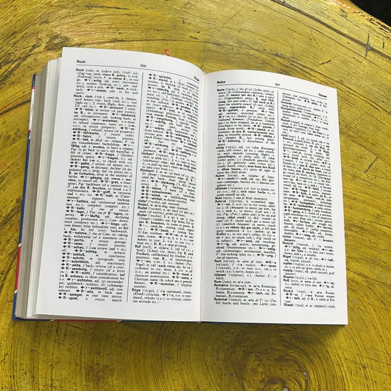 NEUES GROSSES WORTERBUCH ENGLISH- ENGLISCH - DEUTSCH DEUTSCH - ENGLISCH 697924