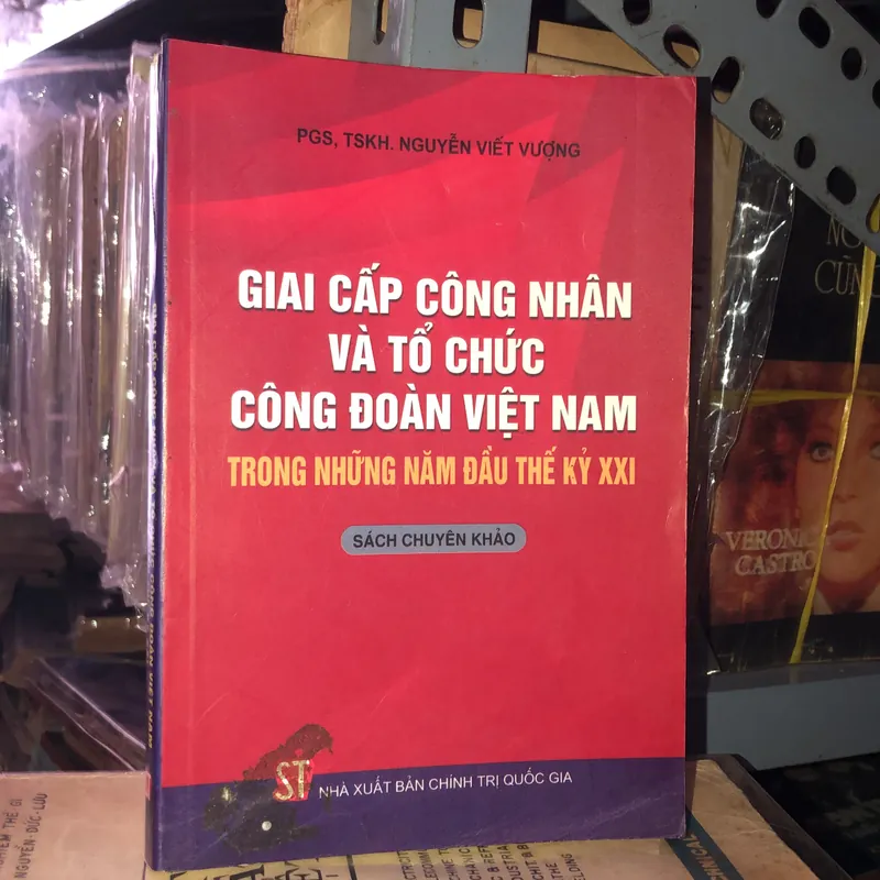 Giai cấp công nhân và tổ chức công đoàn Việt Nam trong những năm đầu thế kỷ XXl  568514