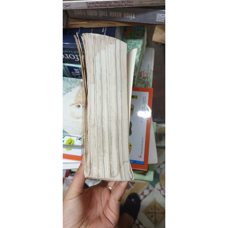 Những Di Sản Nổi Tiếng Thế Giới- Trần Mạnh Thường 546419
