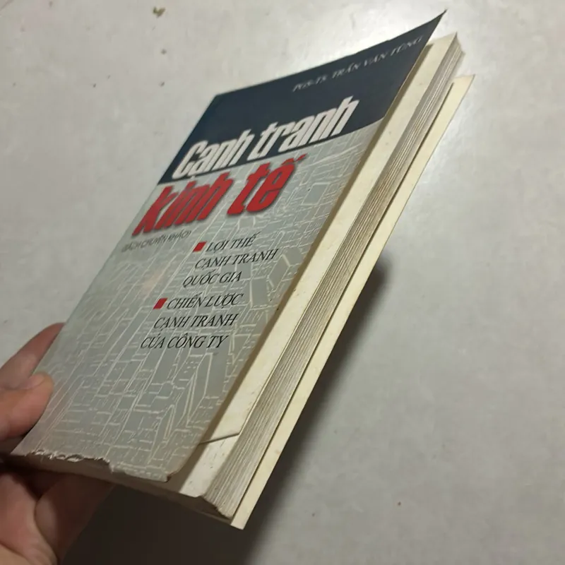 Cạnh tranh kinh tế  726964