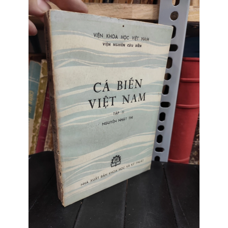 Cá biển Việt Nam - Nguyễn Nhật Thi 298859