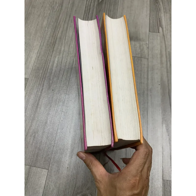 Tây du ký. Bộ 2 tập. Có 204 hình minh hoạ. 2b5 689203