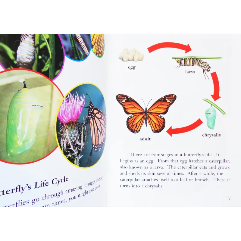 Butterflies! (Leveled Readers) 14224