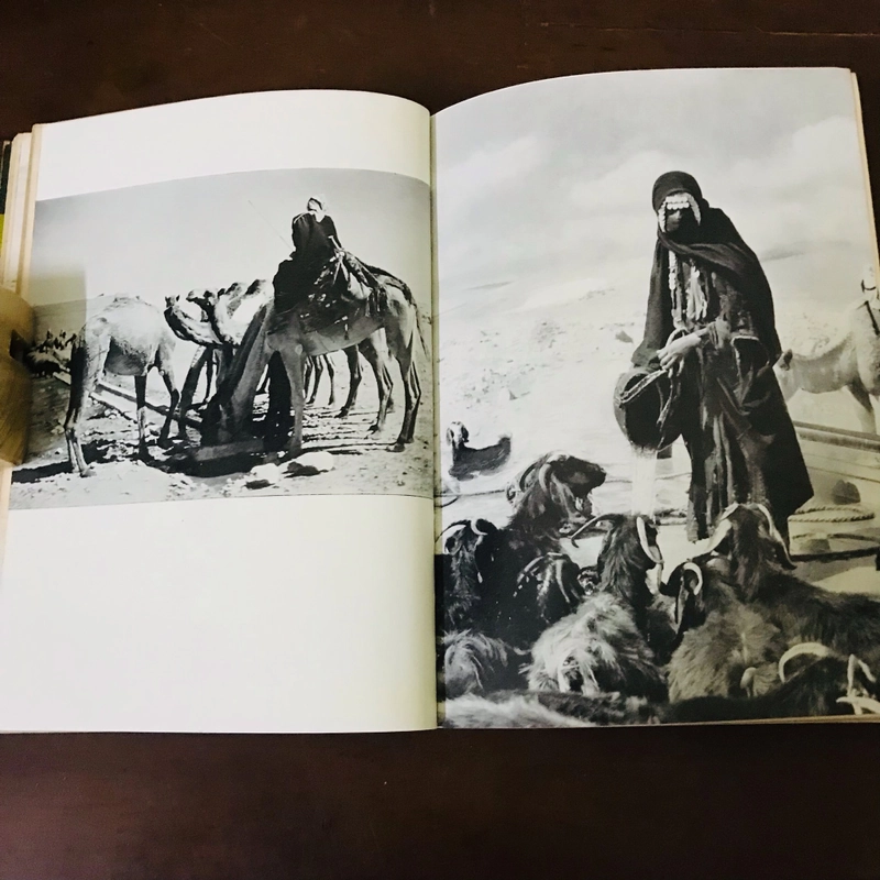 Abraham l’ami de Dieu 474032
