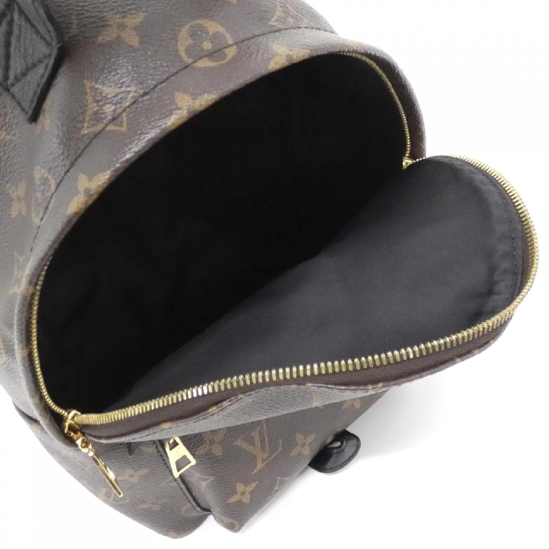 Balo Louis Vuitton Monogram Palm Springs PM M41560 609635