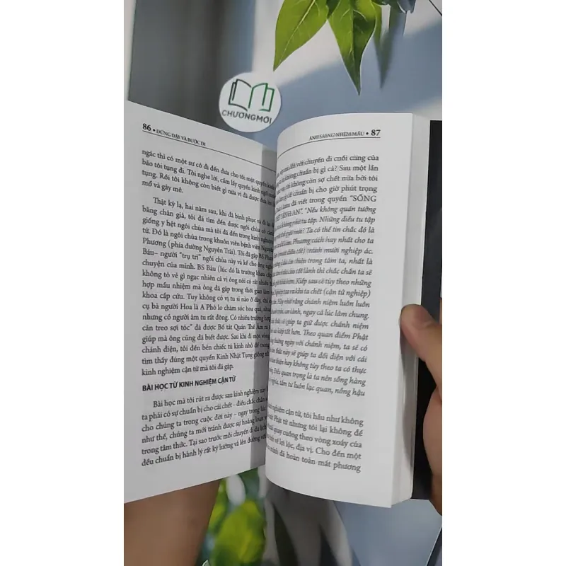 Đứng Dậy Và Bước Đi - Nguyễn Hướng Dương 798435