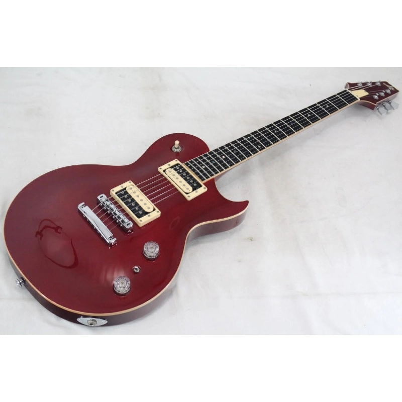 ＡＰＩＩ ＰＥ－５３４０ＣＥ - Hàng hiệu Authentic 884500