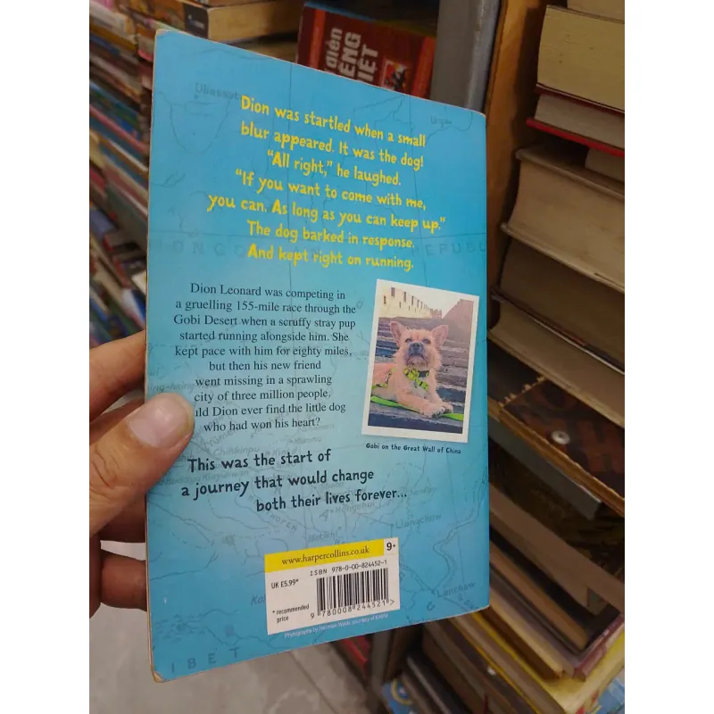 sách Finding GOBI - The true story of one little dogs big journey (B1) 703621