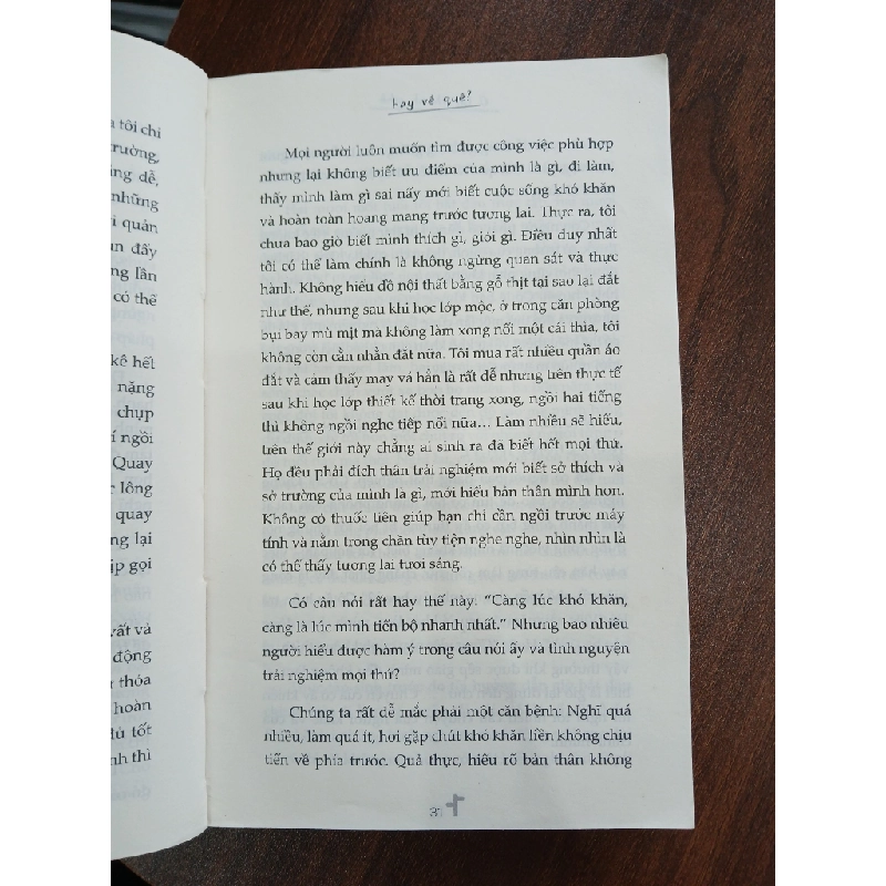 Ở lại thành phố hay về quê?<br>Mèo Maverick 539471