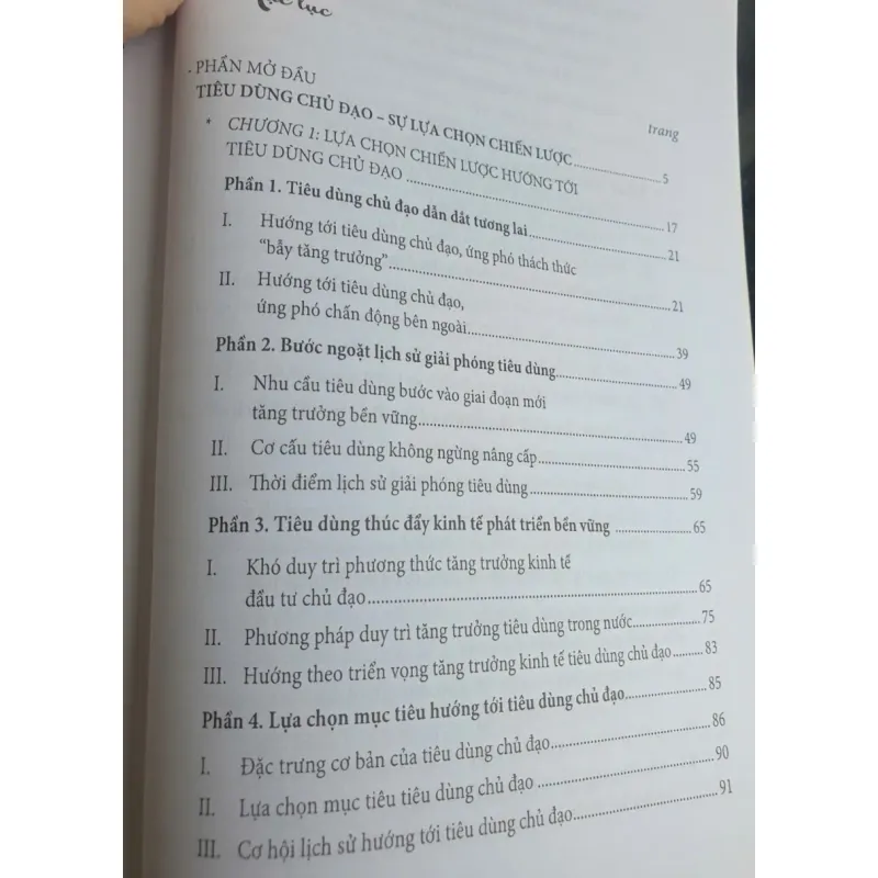 Tiêu Dùng Chủ Đạo - Trì Phúc Lâm 723433