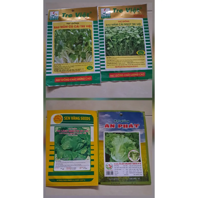 Hạt giống rau  1027558