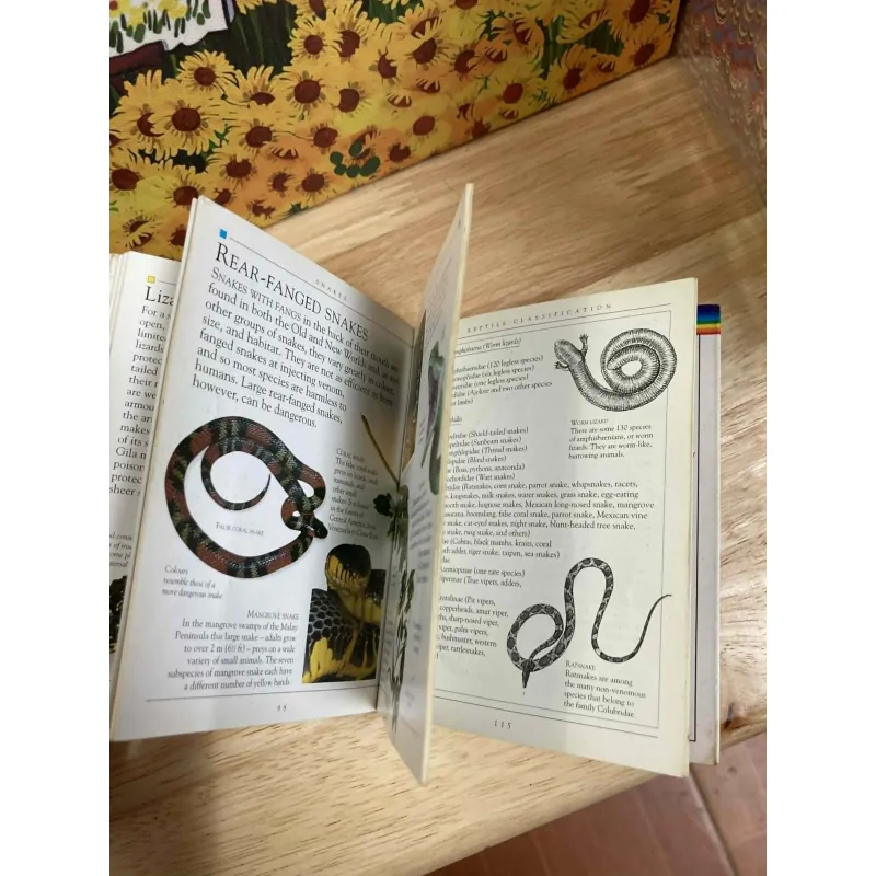 Pockets: Reptiles 1022230