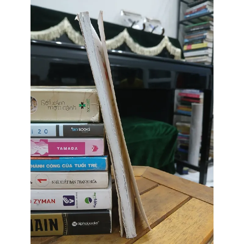 Truyện tiếu lâm hay nhất quả đất — Hồng Quang 577643