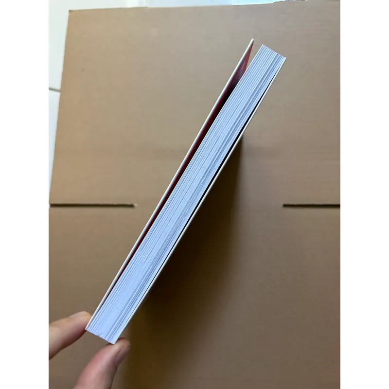 Chiếc Birkin màu Cam - Alex Tu 731594