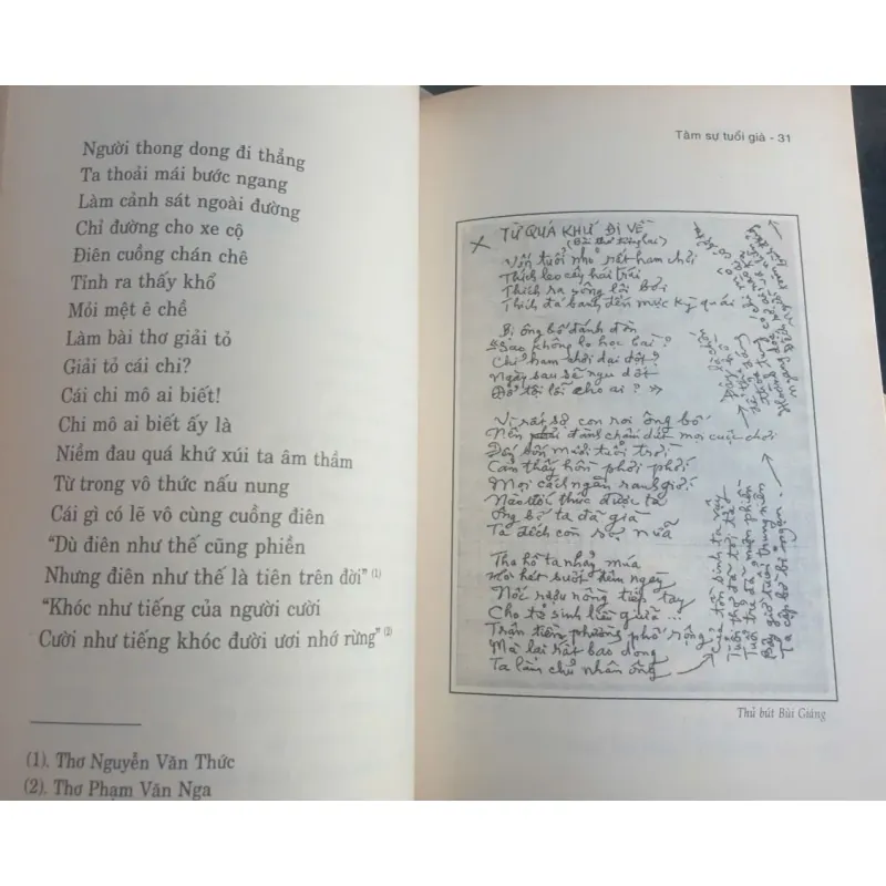 Tâm Sự Tuổi Già - Bùi Giáng 736990