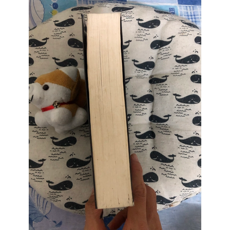 Ma Thổi Đèn - Trùng Cốc Vân Nam 552846
