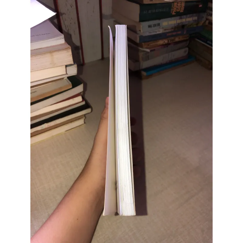 Trên đường thiên lý-Phạm Văn Liêm 958351