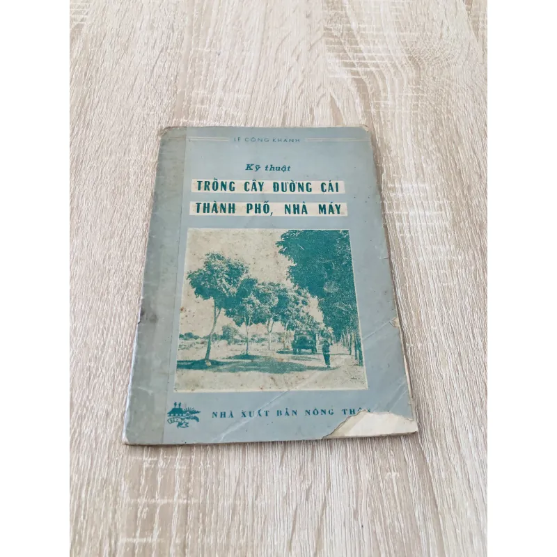 KỸ THUẬT TRỒNG CÂY ĐƯỜNG CÁI THÀNH PHỐ, NHÀ MÁY 956954
