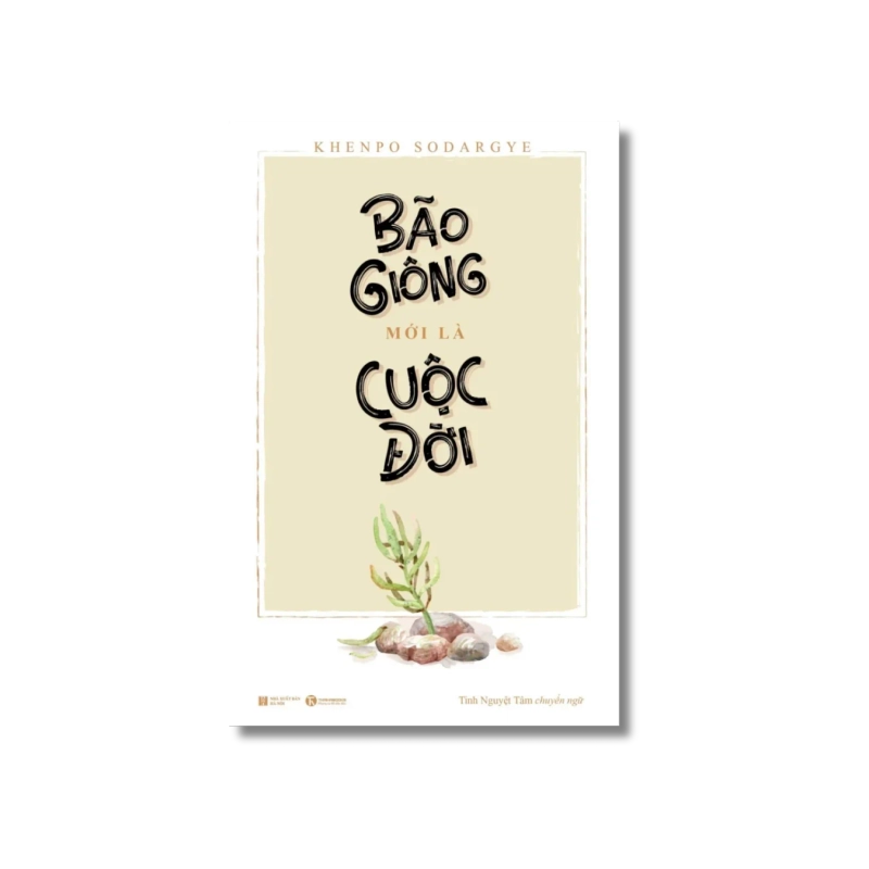 Bão giông mới là cuộc đời - Khenpo Sodargye 724980