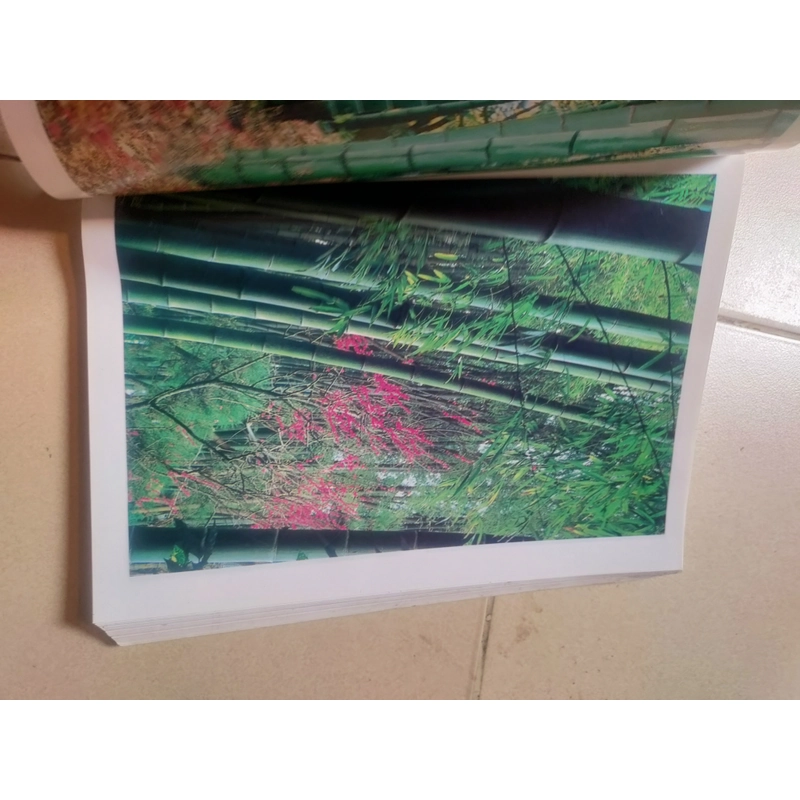 Kỹ thuật truyền thống sử dụng cây Tre trong truyền thống hiện đain 477132