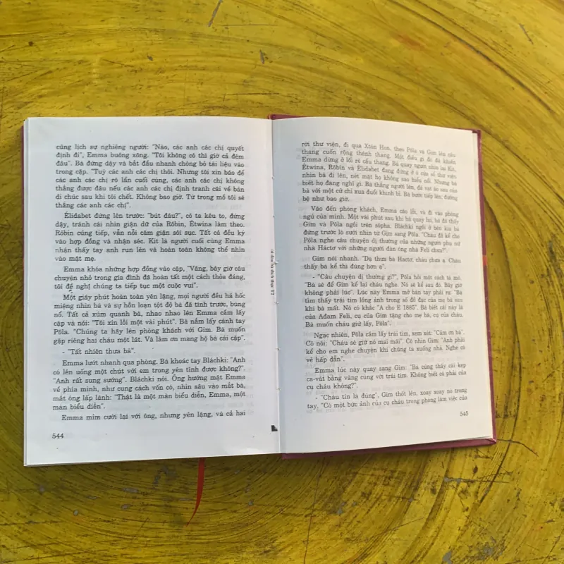 NGƯỜI ĐÀN BÀ ĐÍCH THỰC - trọn bộ hai tập- BARBARA TAYLOR BRADFORD 976601