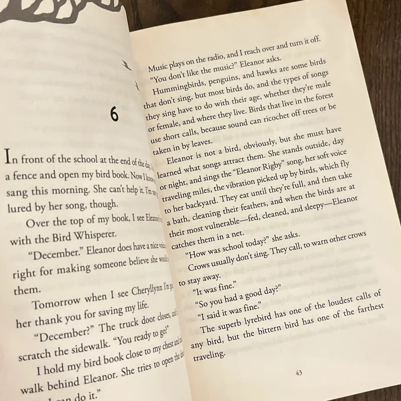 ✨𝑬𝒙𝒕𝒓𝒂𝒐𝒓𝒅𝒊𝒏𝒂𝒓𝒚 𝑩𝒊𝒓𝒅𝒔✨ 711930