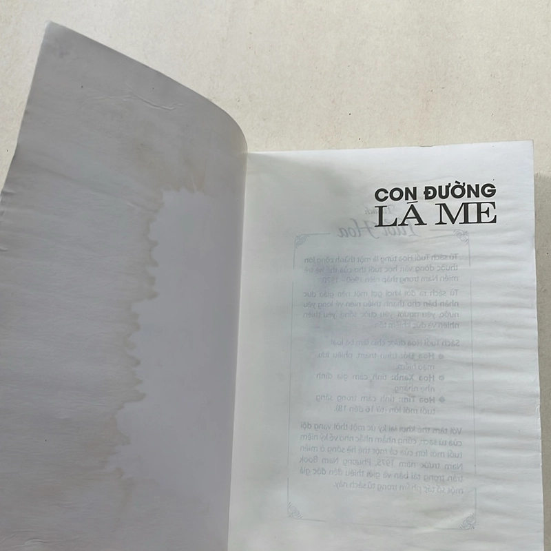 Con đường lá me - Thuỳ An 496834