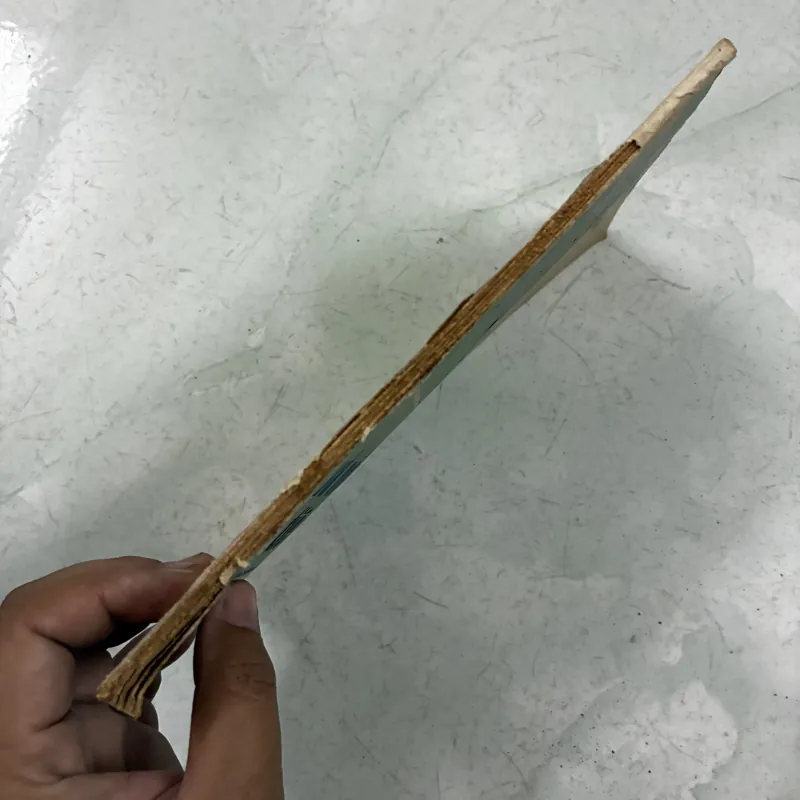 Tự đọc viết và nói đúng Tiếng Anh 990282